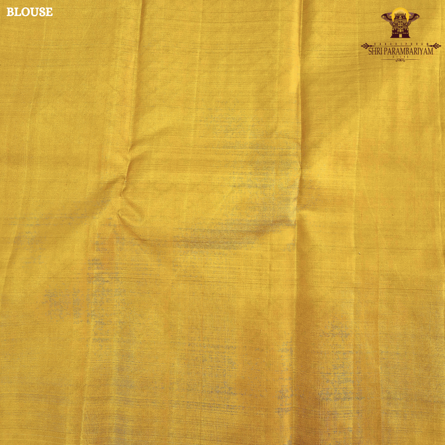 A radiant Mustard Yellow shade, beautifully enhanced Saree