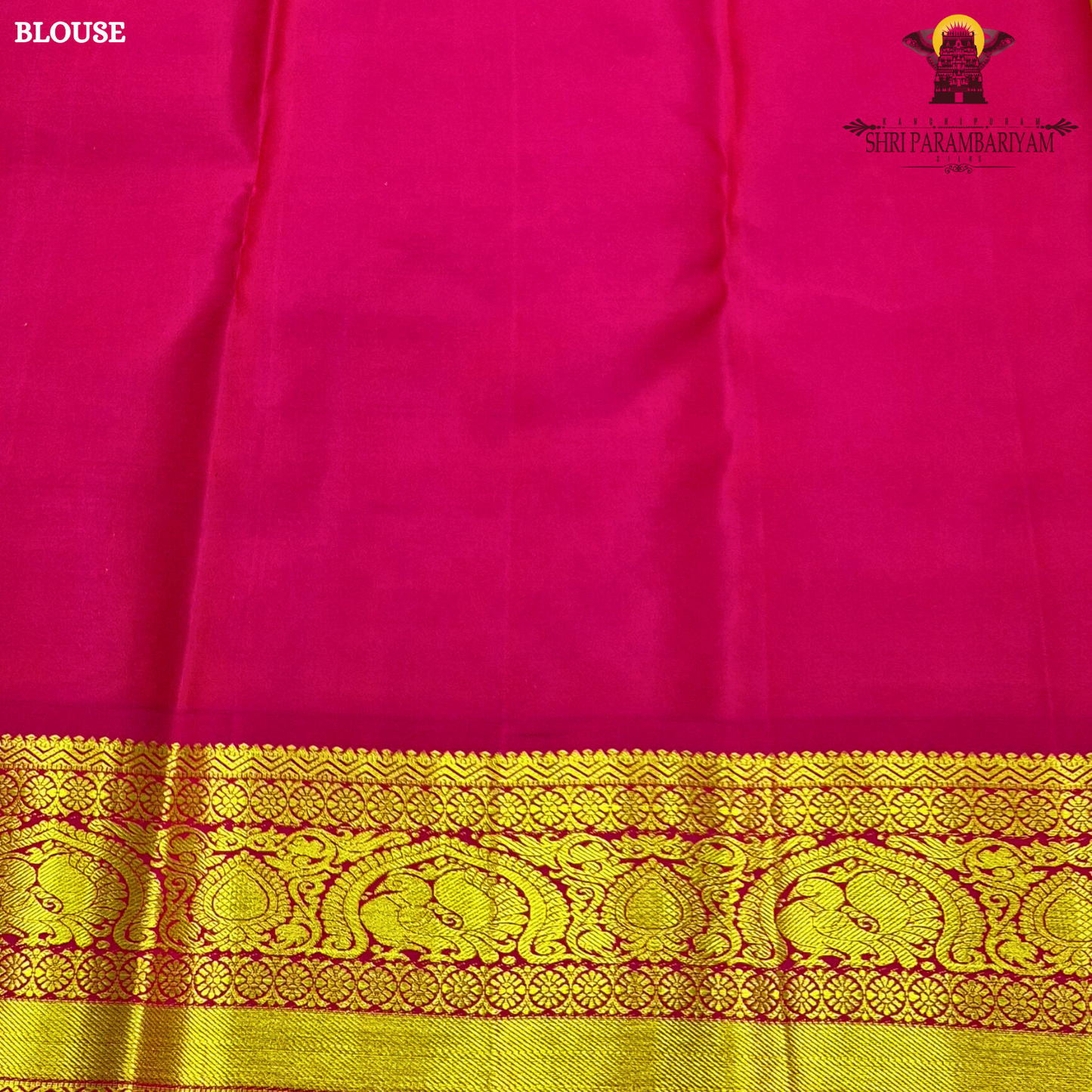 A vibrant parrot green body adorned with subtle Saree