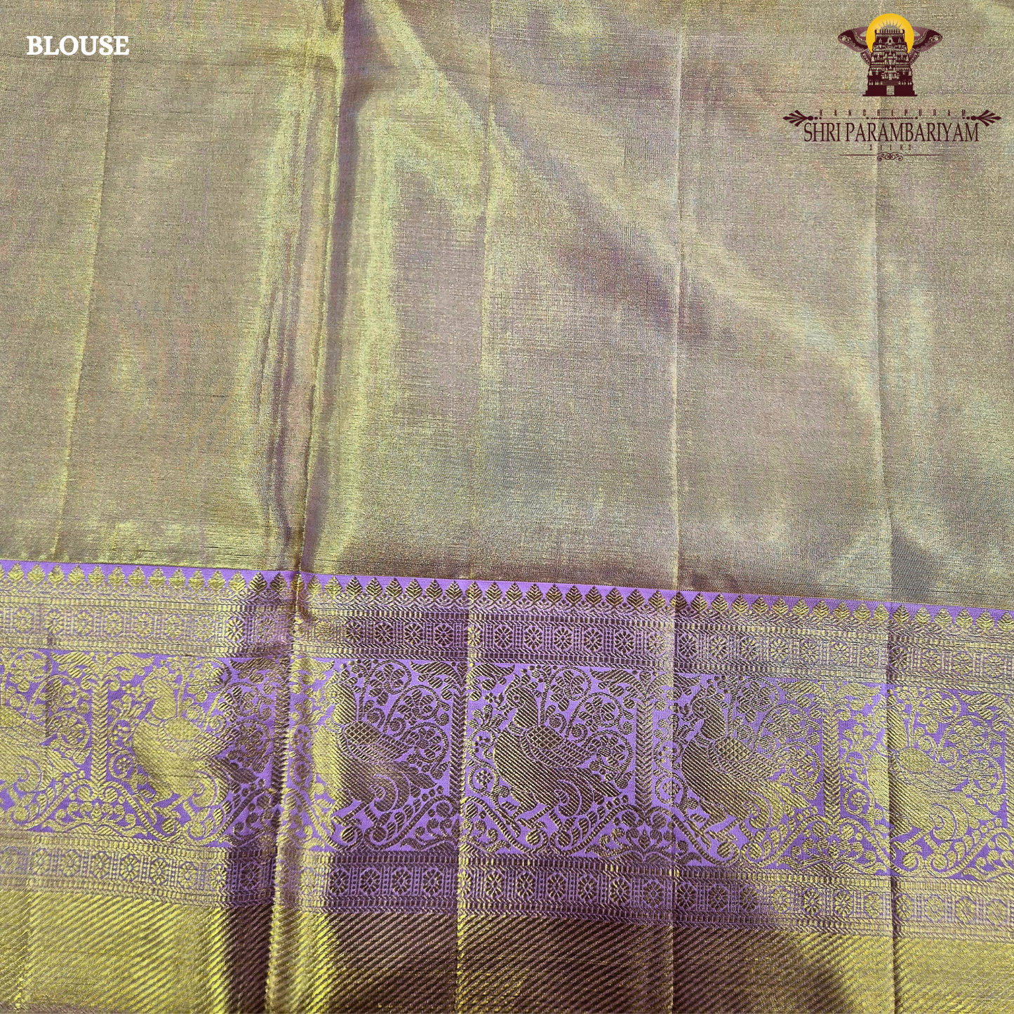 Rich mustard gold / antique gold with a warm tissue sheen Saree