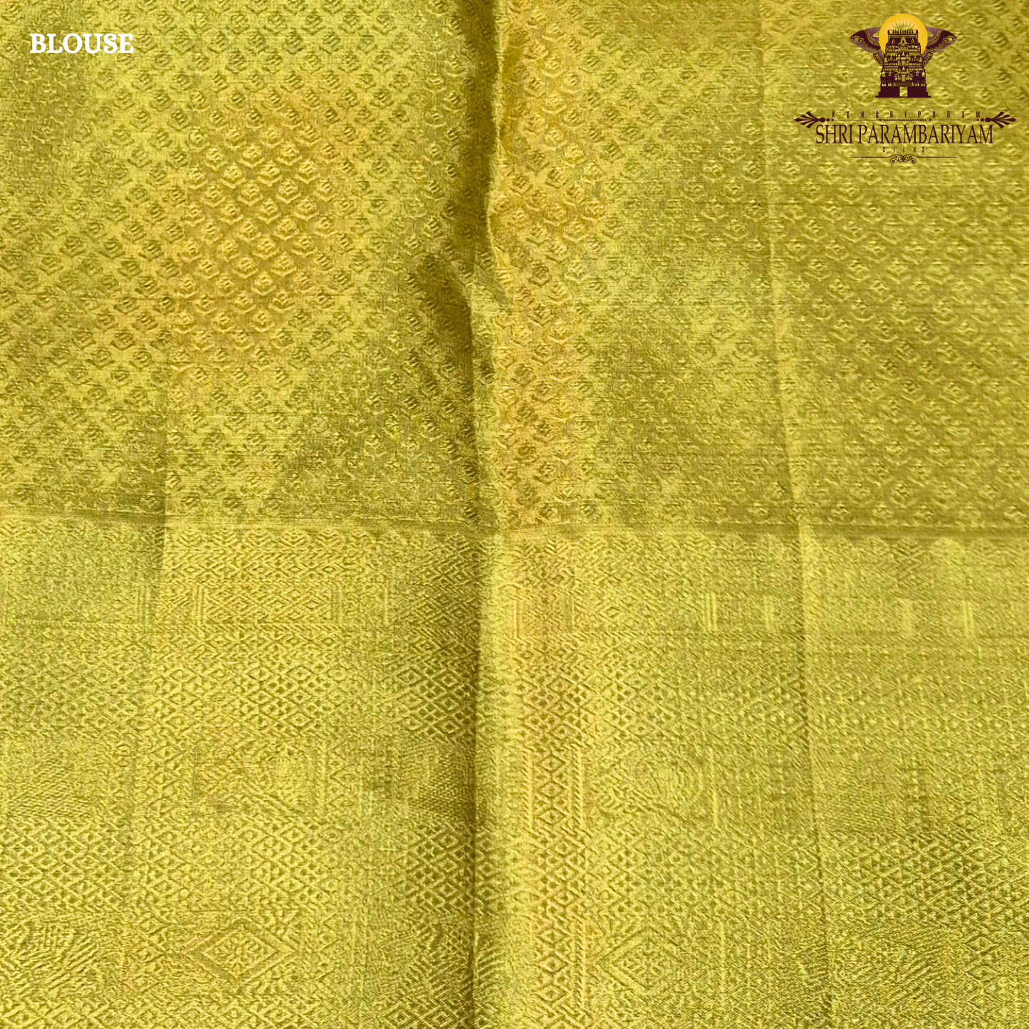 A rich classic gold shade that reflects timeless elegance and traditional beauty Saree