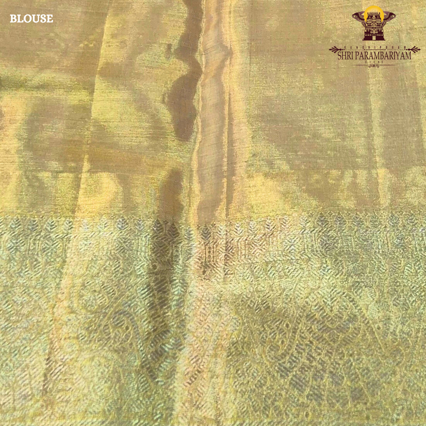 A luxurious antique golden hue that gives a radiant and regal Saree