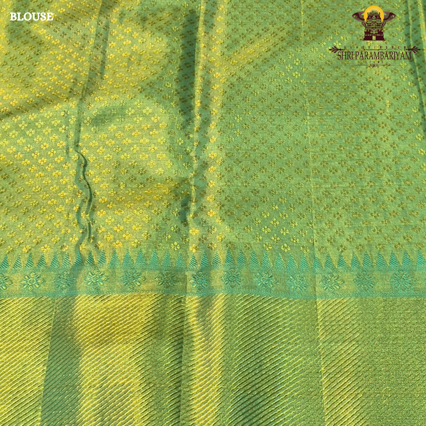 A rich parrot green shade beautifully highlighted with shimmering Saree
