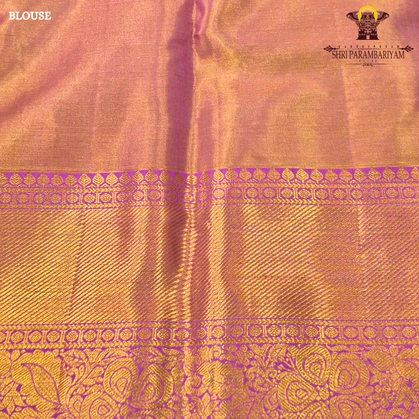 A light pista green (tissue body) paired with a vibrant rani pink border Saree
