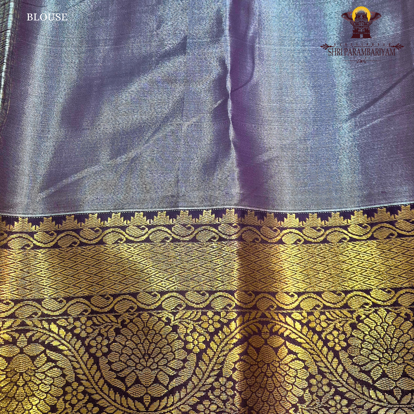 Elegant champagne beige Tissue Saree