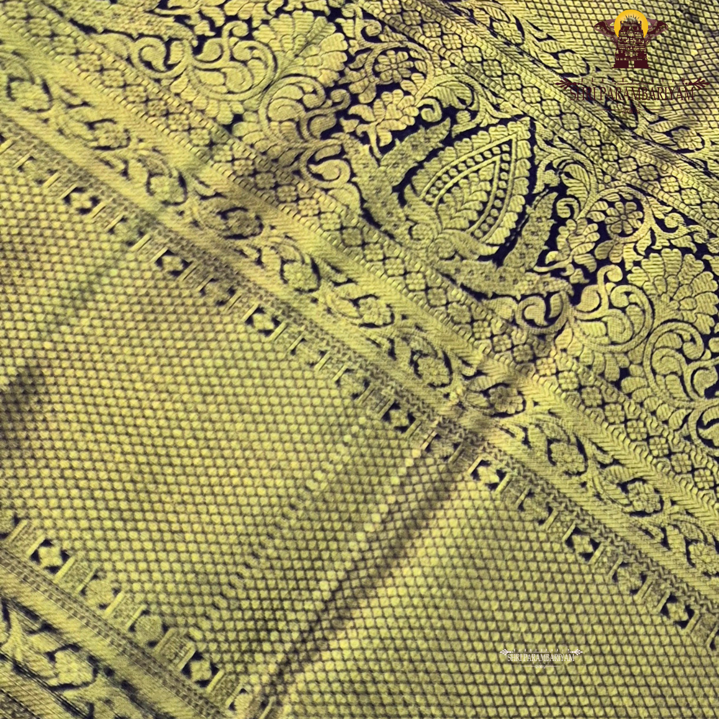 A regal combination of champagne gold and deep royal blue Saree