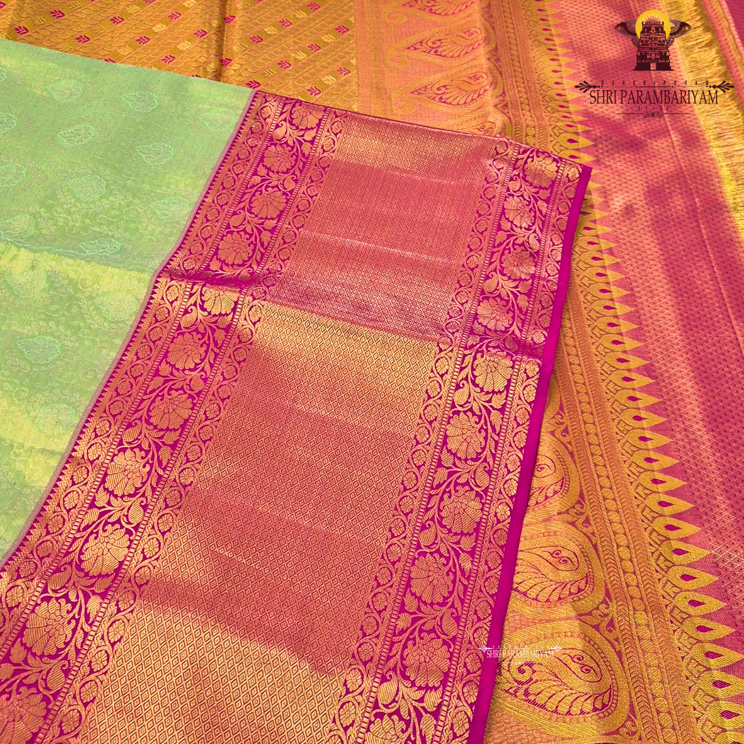 A graceful blend of pastel green (pista green) and warm gold, beautifully Saree