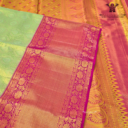 A graceful blend of pastel green (pista green) and warm gold, beautifully Saree