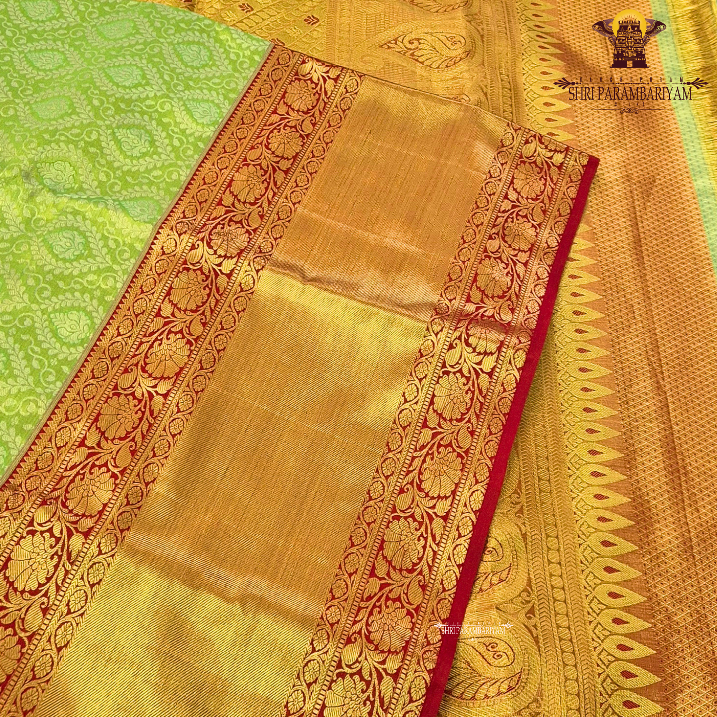 A vibrant combination of parrot green and rich gold Saree
