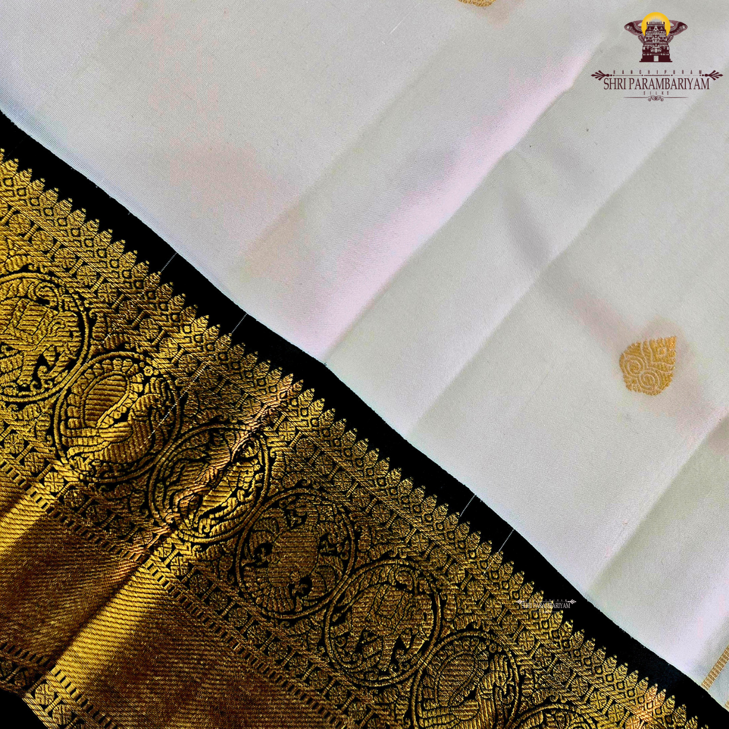 A graceful pearl white body adorned with delicate gold zari buttas, lending a refined and sophisticated Saree