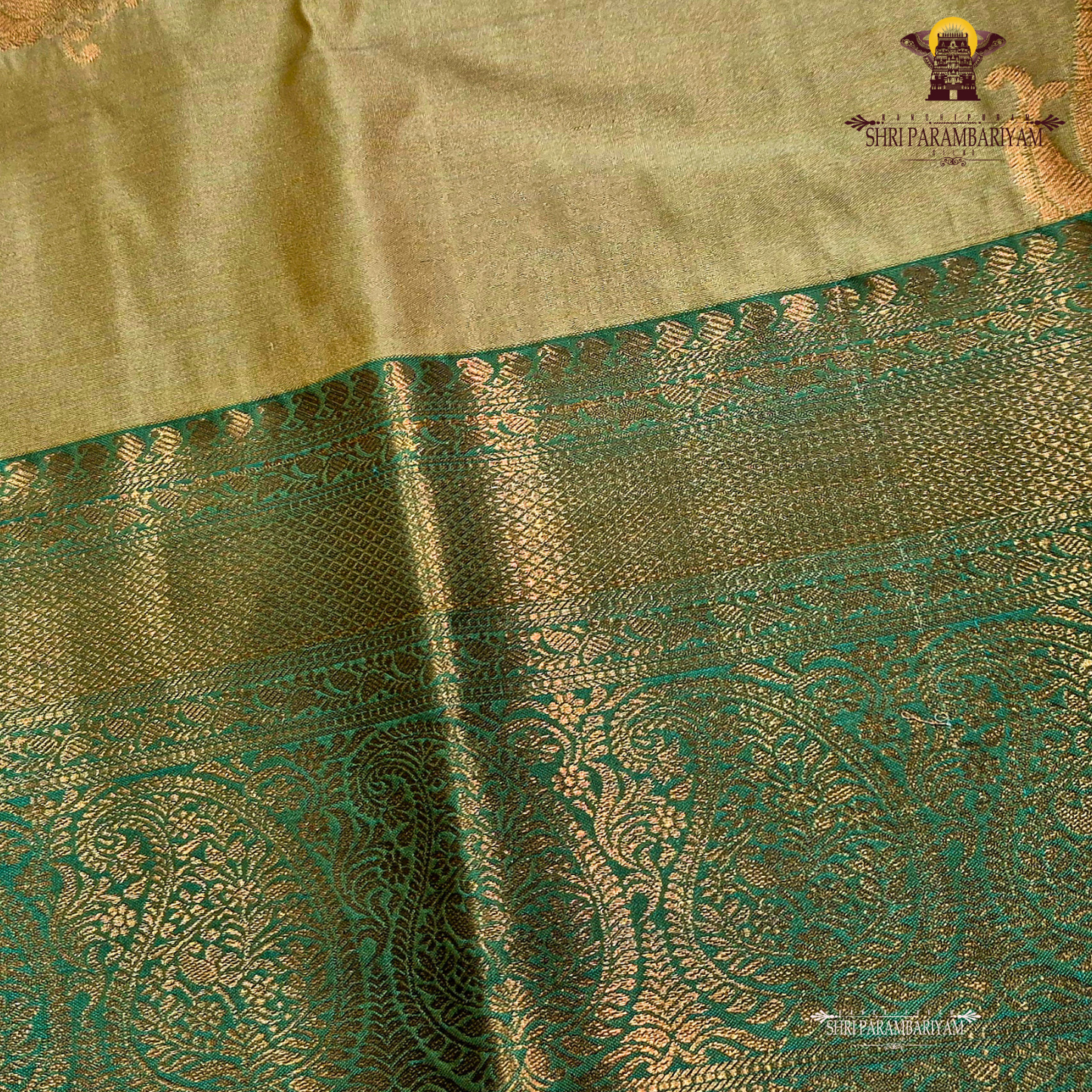 Classic mustard gold / golden beige Saree