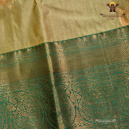 Classic mustard gold / golden beige Saree