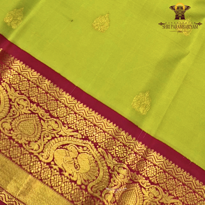 A vibrant parrot green body adorned with subtle Saree