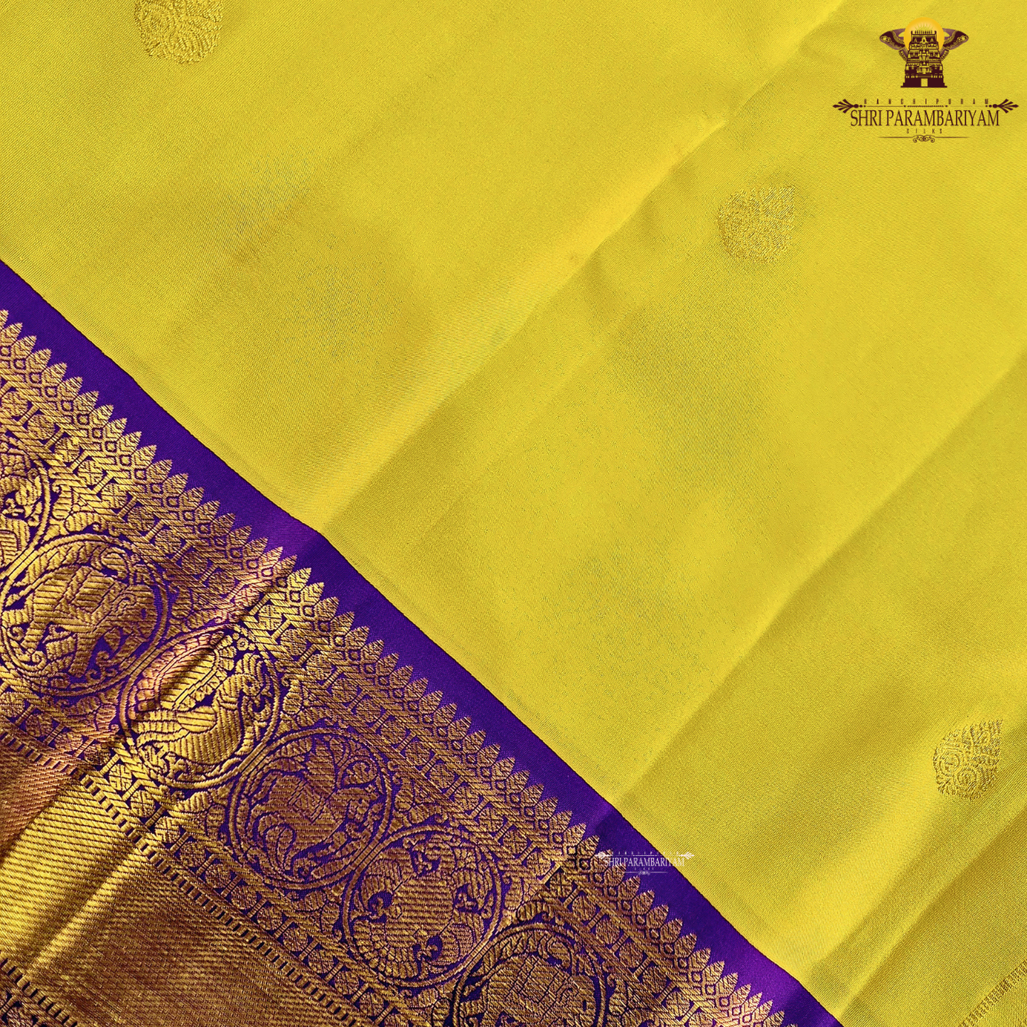 A bright turmeric yellow body adorned with elegant gold zari Saree