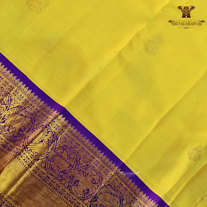 A bright turmeric yellow body adorned with elegant gold zari Saree