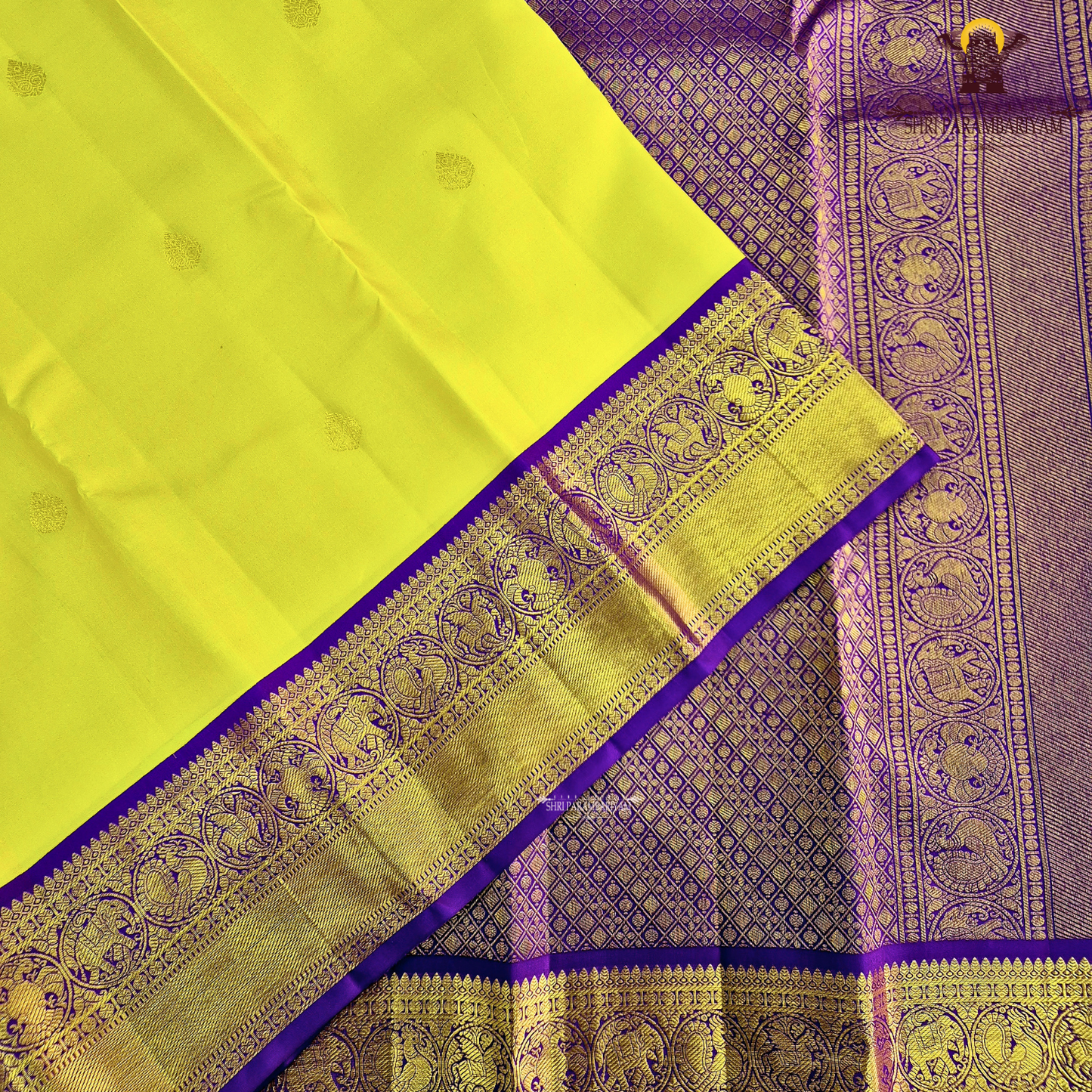 A bright turmeric yellow body adorned with elegant gold zari Saree