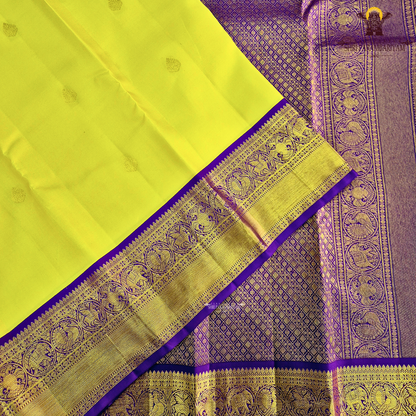 A bright turmeric yellow body adorned with elegant gold zari Saree