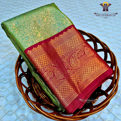 A graceful lime green / pista green Tissue Saree