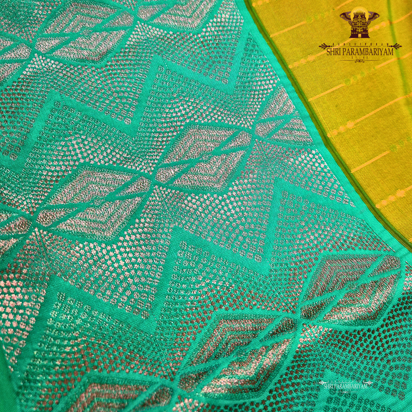 Olive Green Body with Aqua Blue Contrast Border Saree