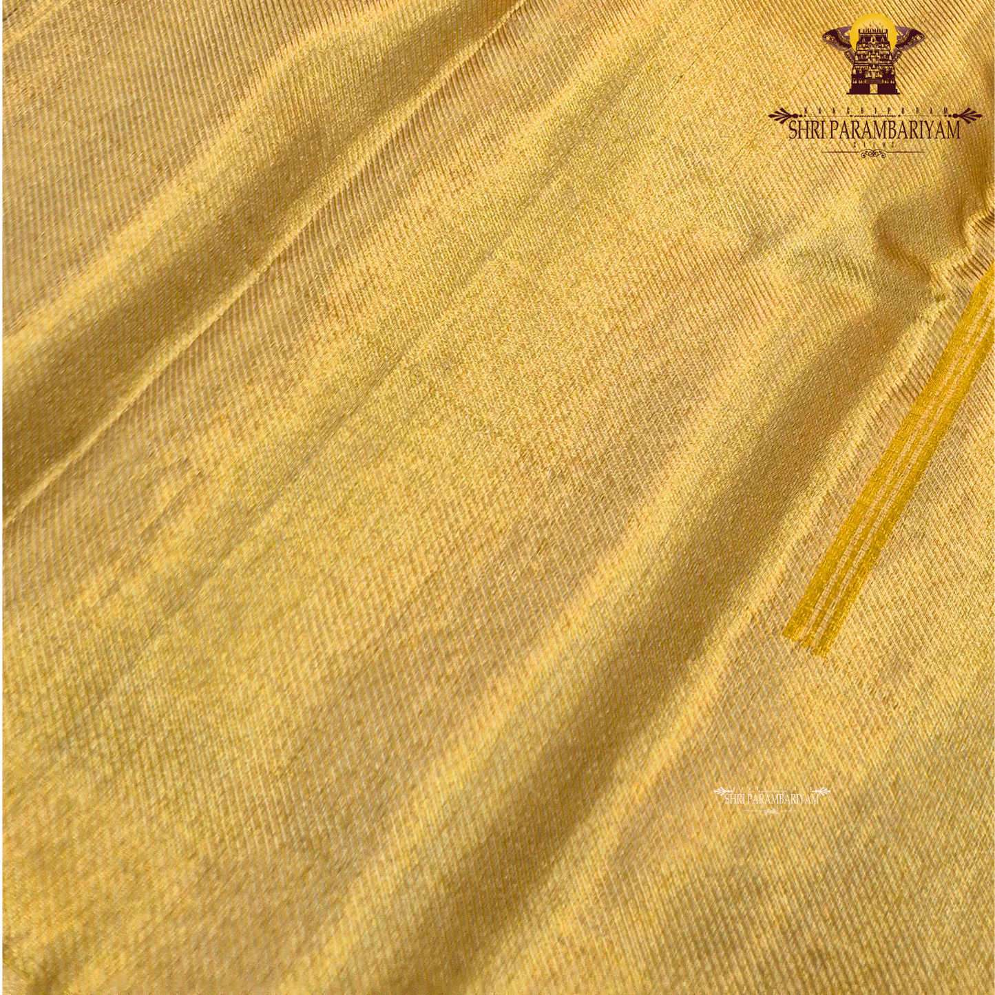 A beautiful mustard gold shade that gives a radiant and luxurious shine Saree