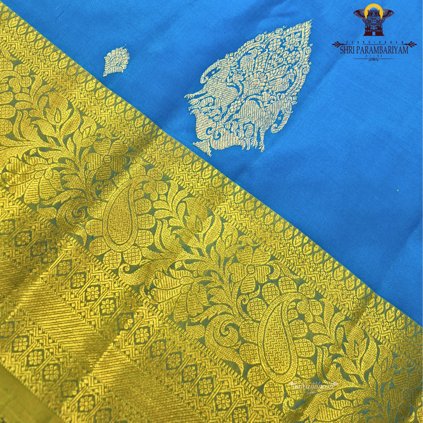 Vibrant royal blue with a rich gold zari border featuring a subtle green undertone Saree
