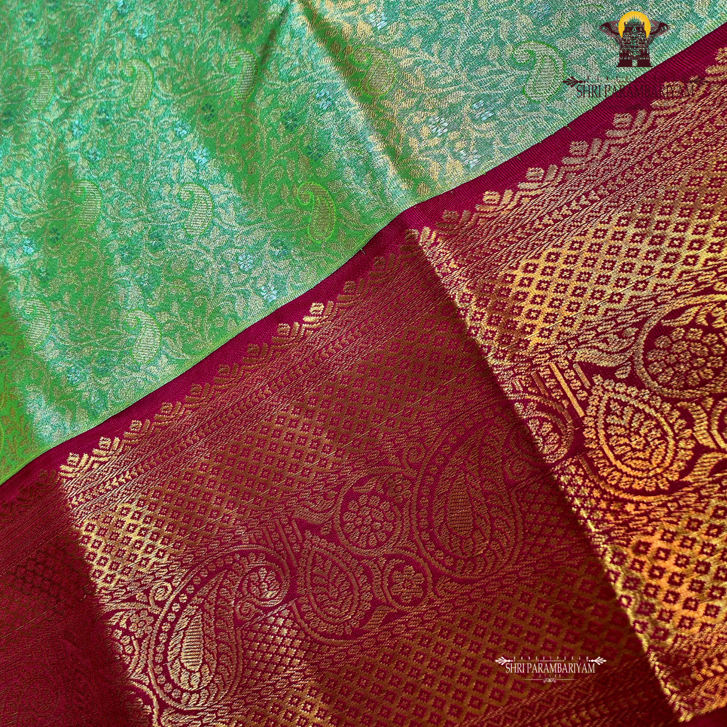 A graceful lime green / pista green Tissue Saree