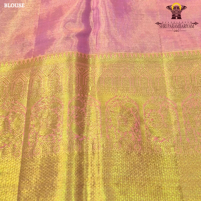 A soft and elegant peachy pink body complemented Saree