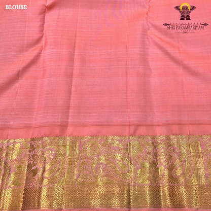A sophisticated ash grey body beautifully decorated with elegant Saree