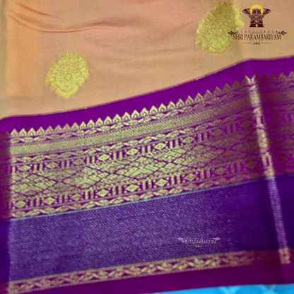 Light coral orange Saree