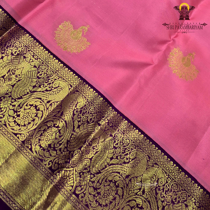A delicate baby pink body adorned with elegant Saree