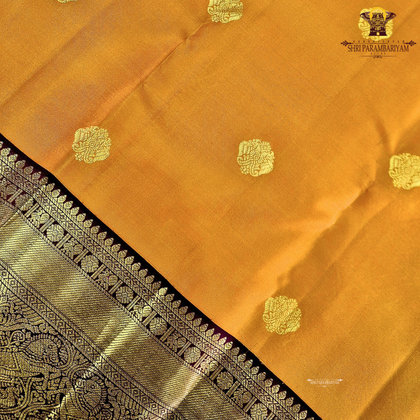 A radiant burnt orange body adorned with subtle gold zari Saree