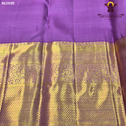 A rich turquoise blue (peacock blue) body, contrasted Saree