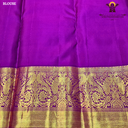 A delicate baby pink body adorned with elegant Saree
