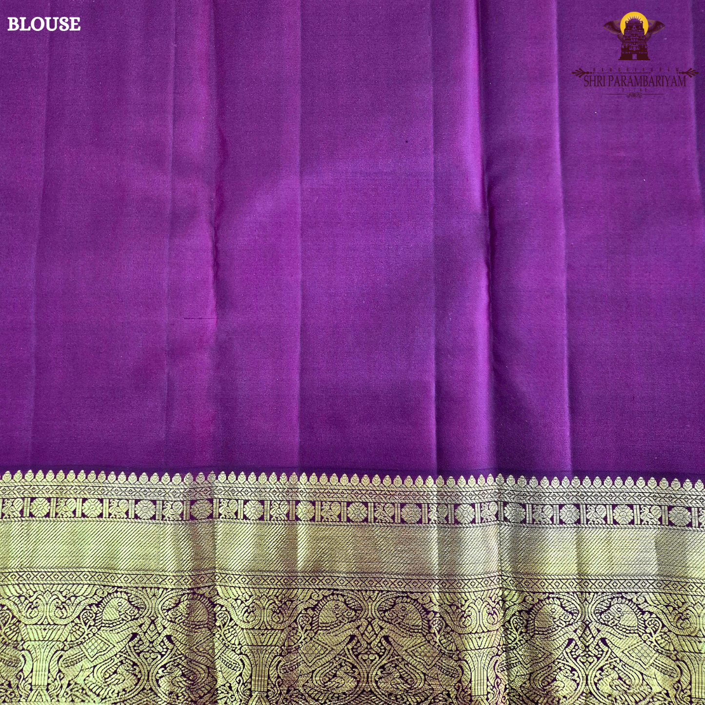 A radiant burnt orange body adorned with subtle gold zari Saree