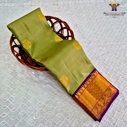 A soothing pastel pistachio green body embellished with elegant gold zari Saree