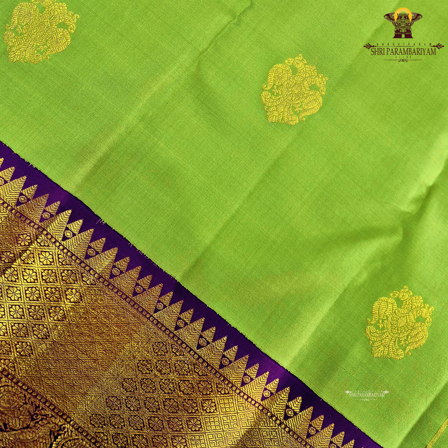A soothing pastel pistachio green body embellished with elegant gold zari Saree