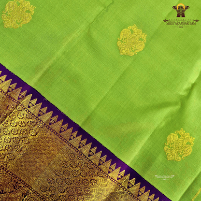 A soothing pastel pistachio green body embellished with elegant gold zari Saree