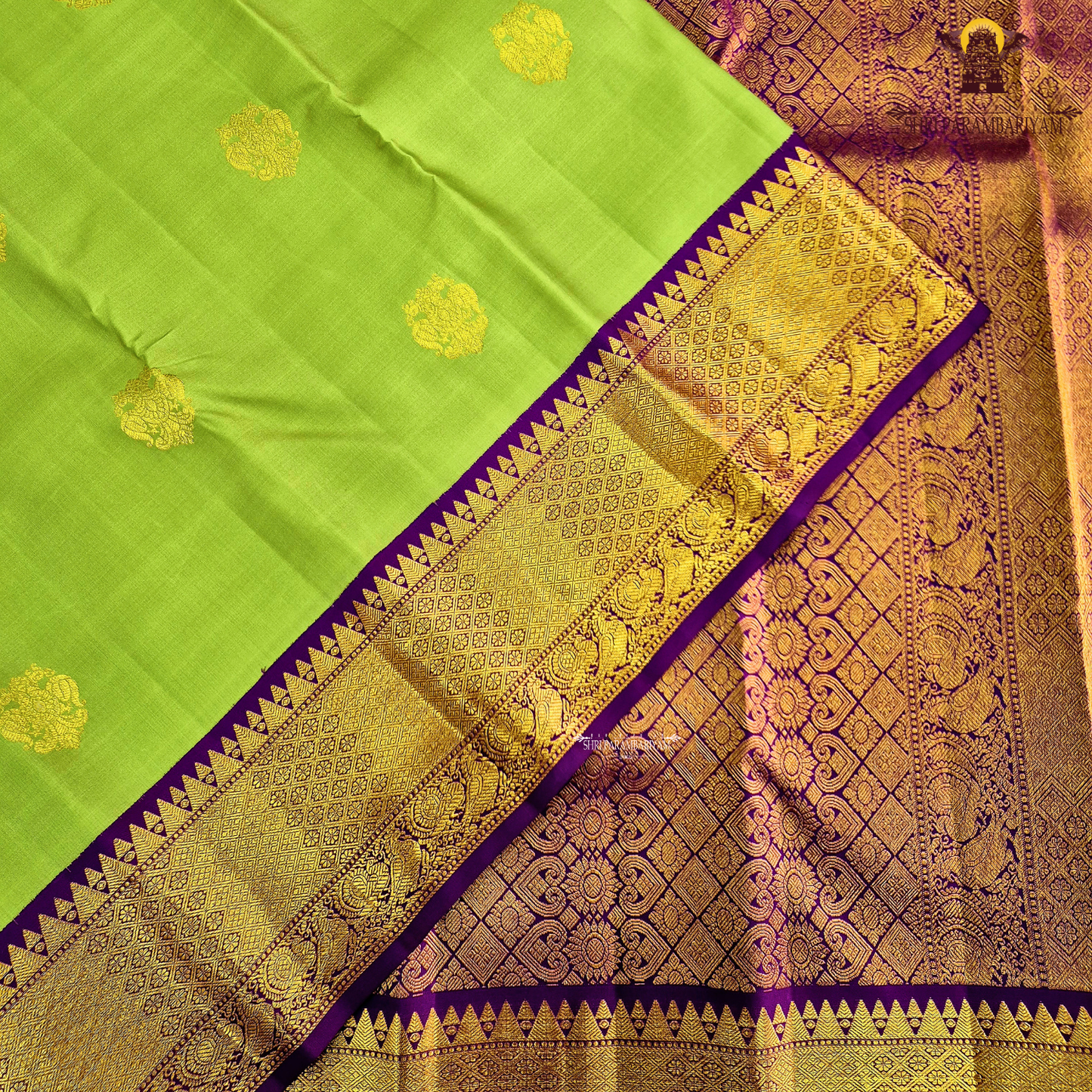 A soothing pastel pistachio green body embellished with elegant gold zari Saree