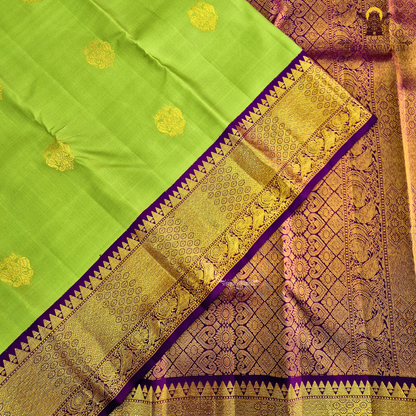 A soothing pastel pistachio green body embellished with elegant gold zari Saree