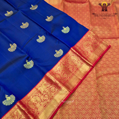 A rich royal blue body highlighted with delicate Saree