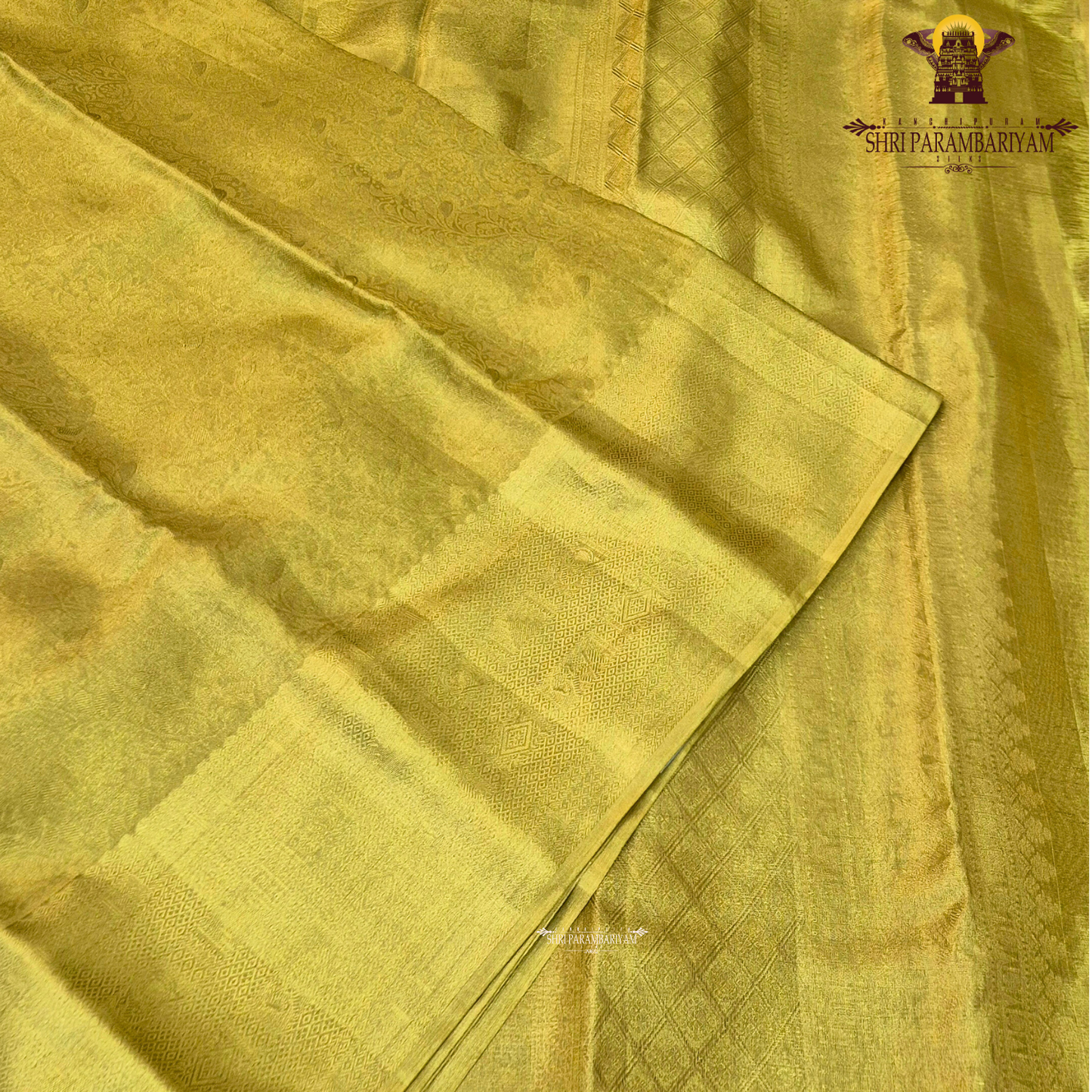 A rich classic gold shade that reflects timeless elegance and traditional beauty Saree