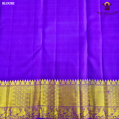 A soothing pastel pistachio green body embellished with elegant gold zari Saree