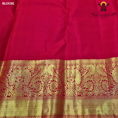 A rich royal blue body highlighted with delicate Saree