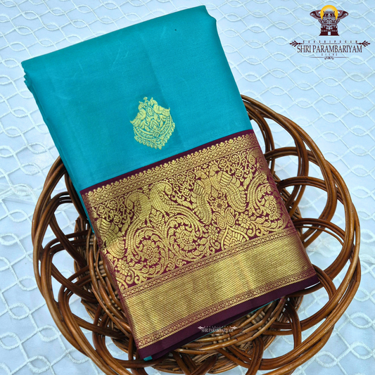 A Vibrant turquoise blue (peacock blue) body beautifully highlighted Saree
