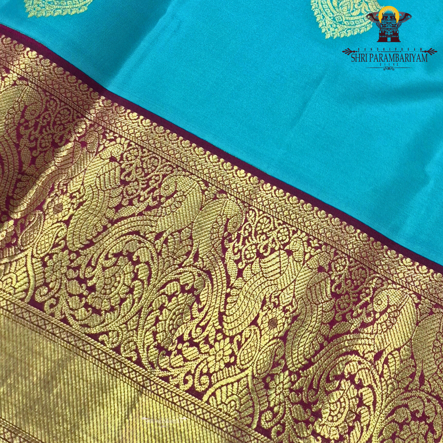A Vibrant turquoise blue (peacock blue) body beautifully highlighted Saree