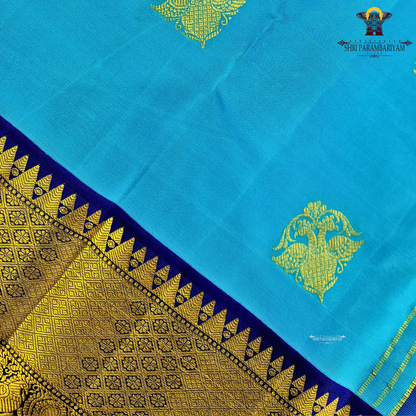 A vibrant sky blue body adorned with elegant gold zari Saree