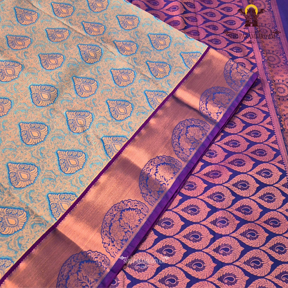 Dusty peach Tissue Saree