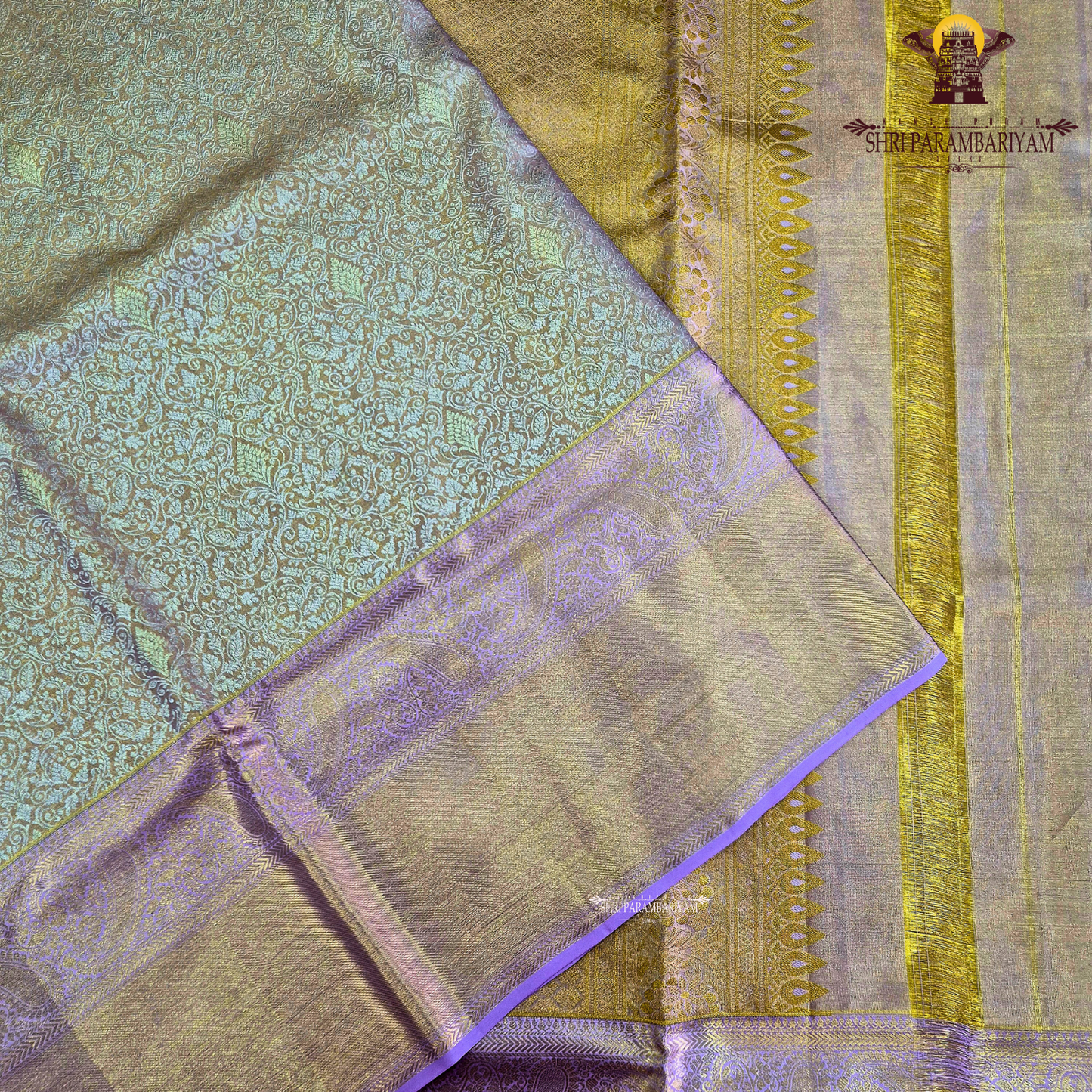 Rich peach with golden tissue sheen (peach–gold dual tone) Saree
