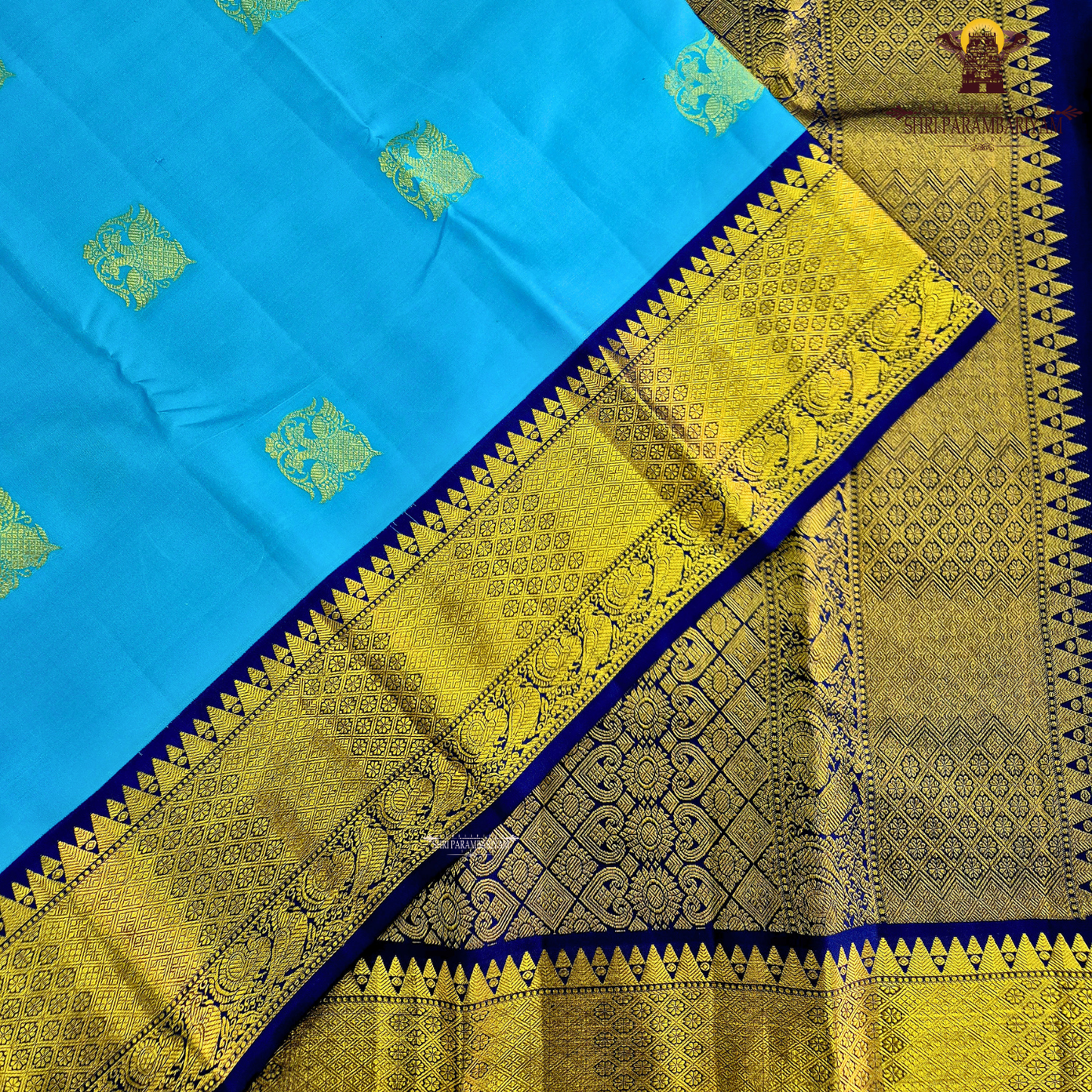 A vibrant sky blue body adorned with elegant gold zari Saree