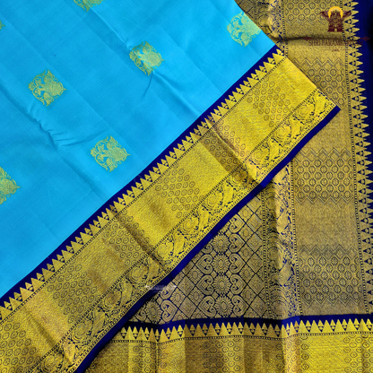 A vibrant sky blue body adorned with elegant gold zari Saree
