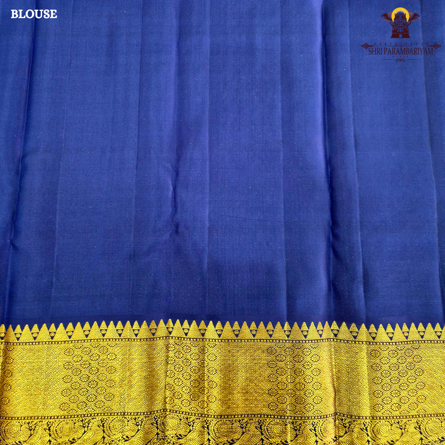 A vibrant sky blue body adorned with elegant gold zari Saree